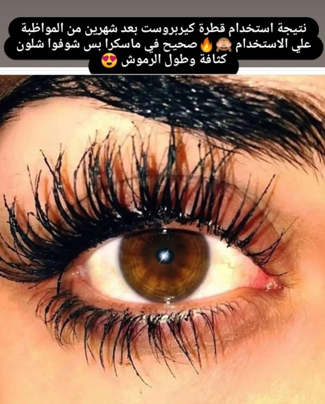 أراء عملائنا